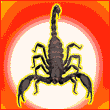 Avatar de Usuario