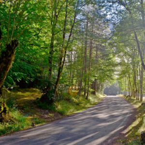 carretera ordesa